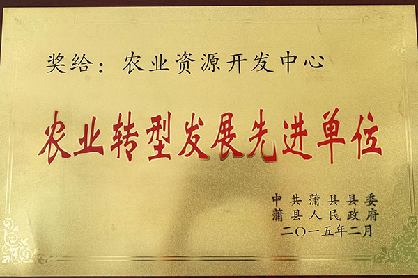 农业转型发展先进单位