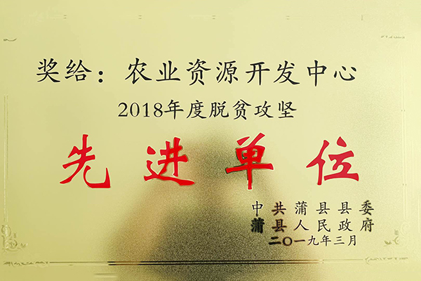 先进单位