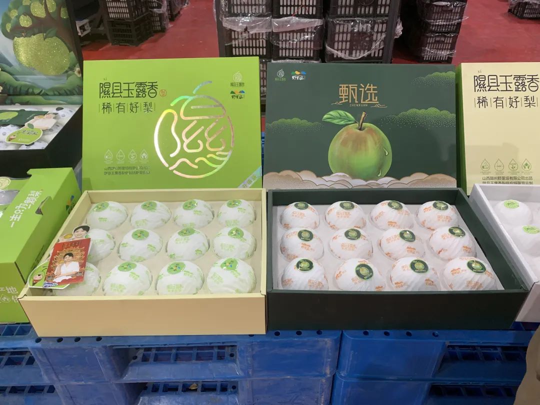 蒲县农业资源开发中心人员去往隰县玉露香基地参观学习