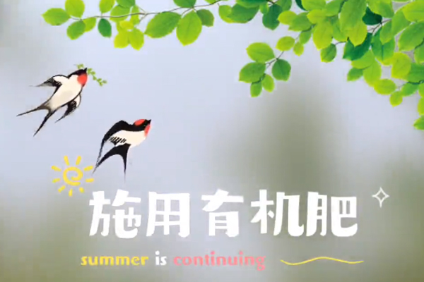 被子垣有机生态果园【施用有机肥】