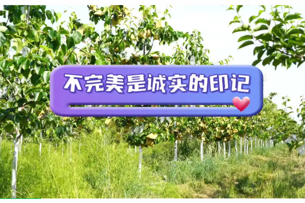 因为有机，我们“不完美”！